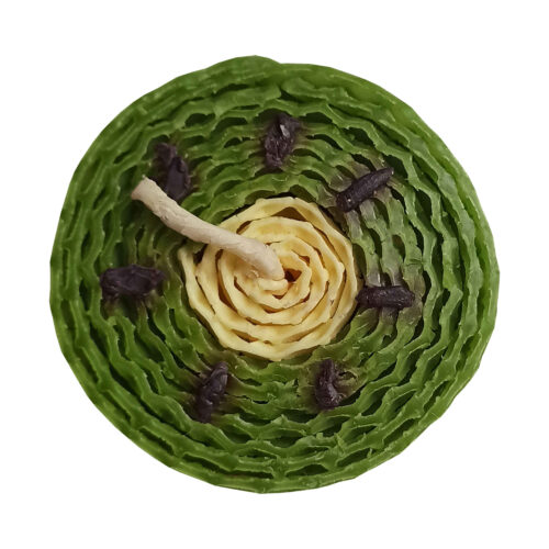 Bougie naturelle en cire d’abeille faite à la main avec design kiwi