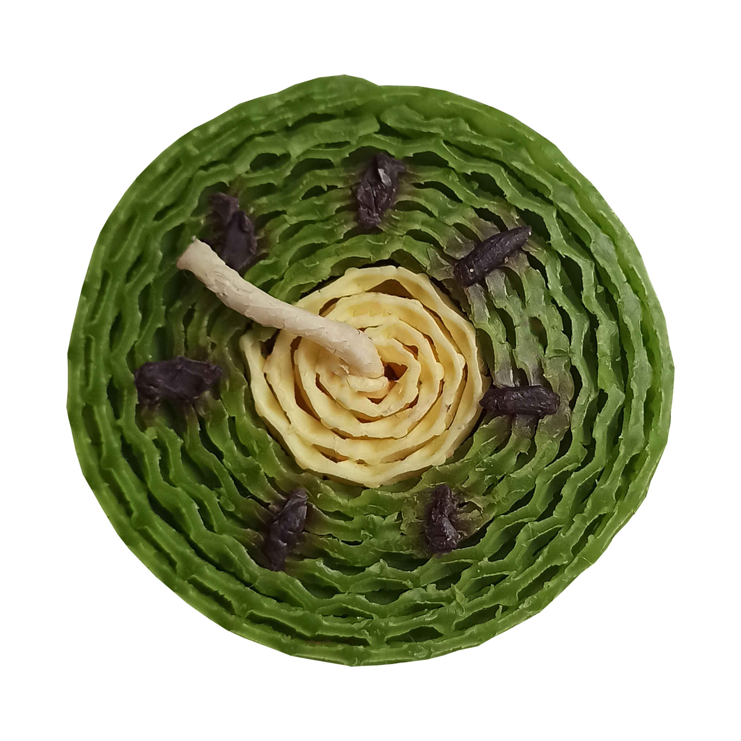 Bougie naturelle en cire d'abeille faite à la main avec design kiwi