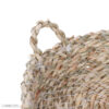 Panier en feuille de palmier tissé à la main avec poignée – Parfait pour l’organisation à la maison - Ensemble de 3