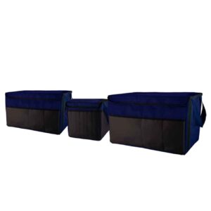 Organisateur de Coffre Voiture – Chic & Portable avec Grande Capacité, Lot de 3