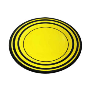 Assiette en céramique – Compatible micro-ondes et lave-vaisselle – pour le quotidien et les occasions spéciales