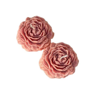Bougie en cire d’abeille pour femmes, ensemble cadeau, paquet de 2