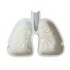 Novelty Stone Ashtray – Lung Model, Artistic Stone Craft