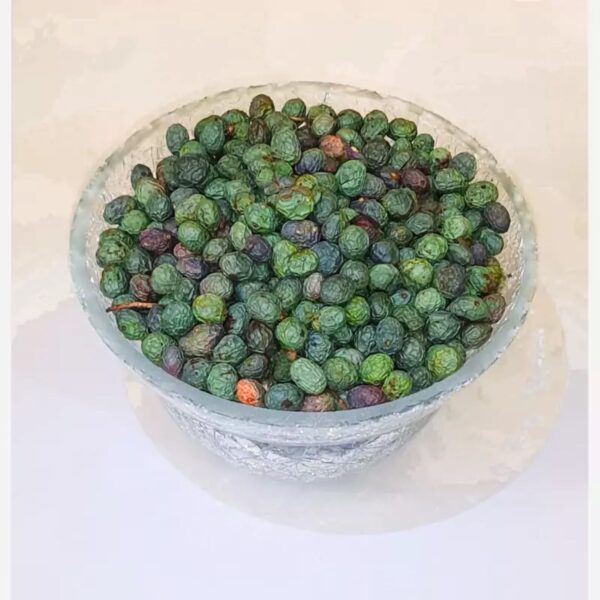 Pistaches kurdes crues – Pistaches des montagnes sauvages, Pistacia Atlantica – 1000 g