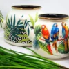 Ensemble Bouilloire et Théière en Émail Coloré – Adapté à un Usage Quotidien ou comme Décor