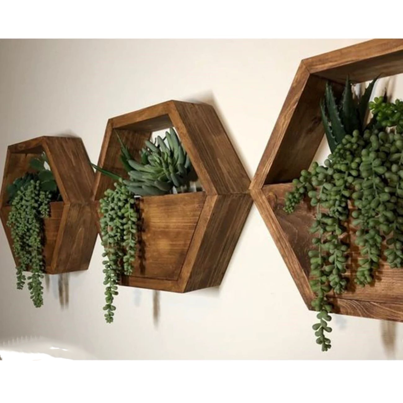 Jardinière murale en forme d'hexagone – Cactus, matériau en bois (1 pièce)
