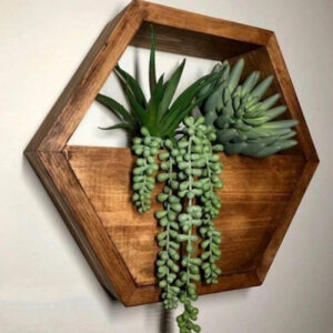 Jardinière murale en forme d’hexagone – Cactus, matériau en bois (1 pièce)