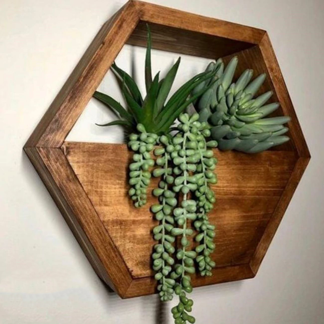 Hexagon Wall-Mounted Cactus Planter – Wooden Material (1Pc)